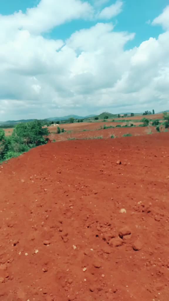 @Karuna Karuna