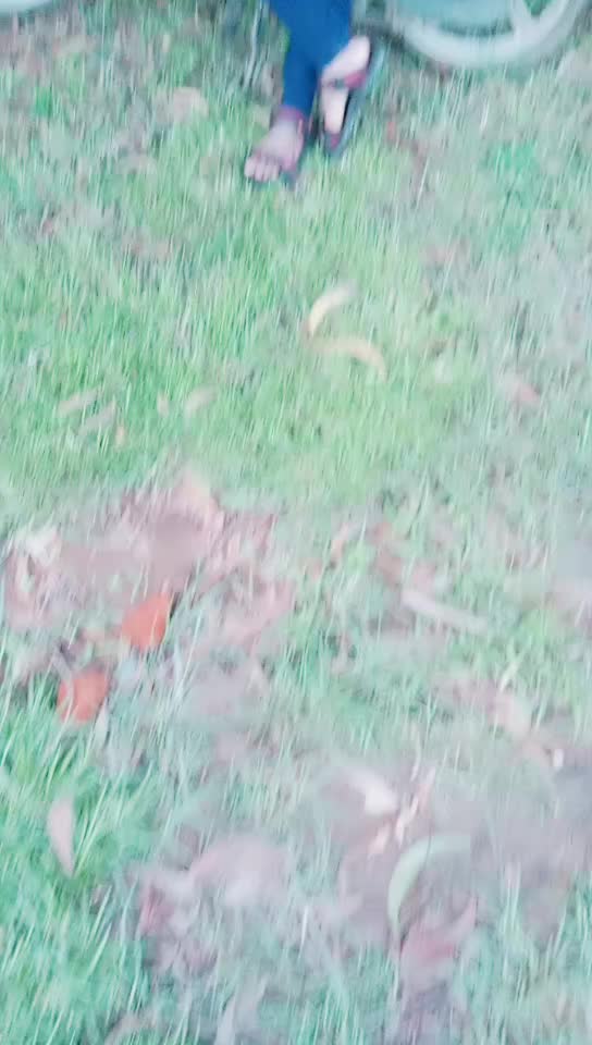 @Raghu kh palegara
