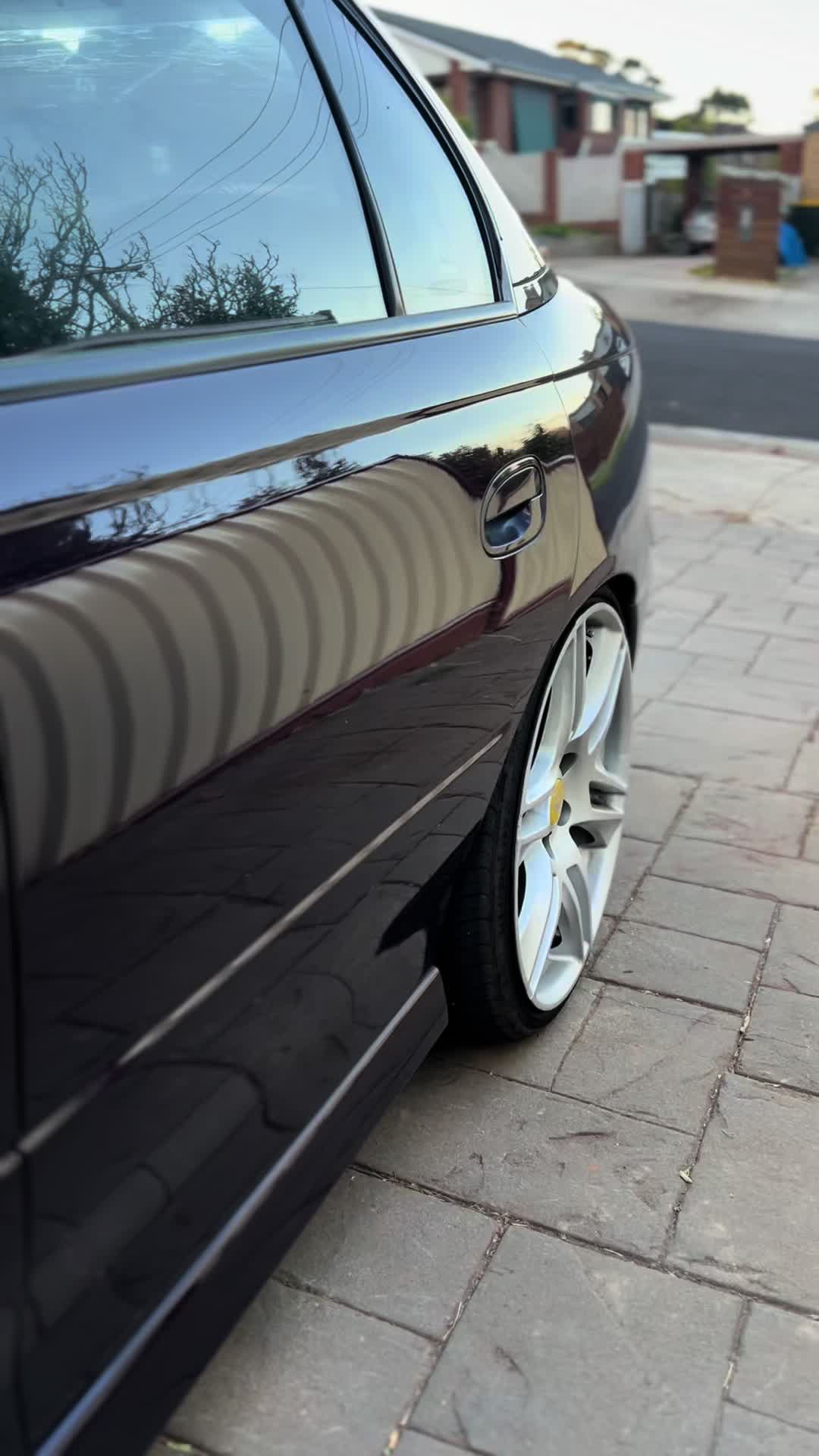 @Bagged.ve
