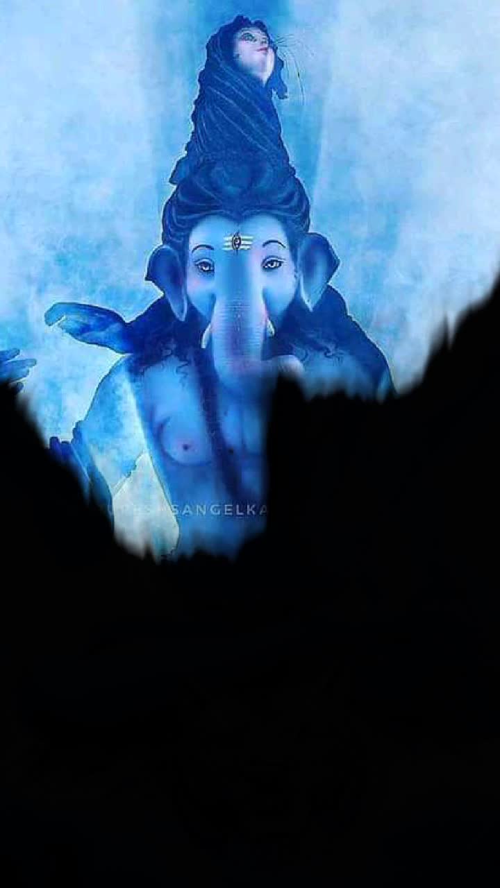 @VIGNHARTA