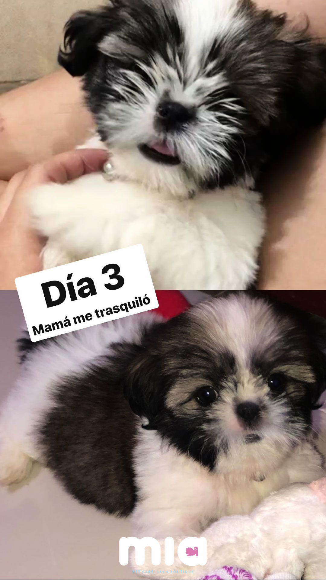 @Daniela Ospina