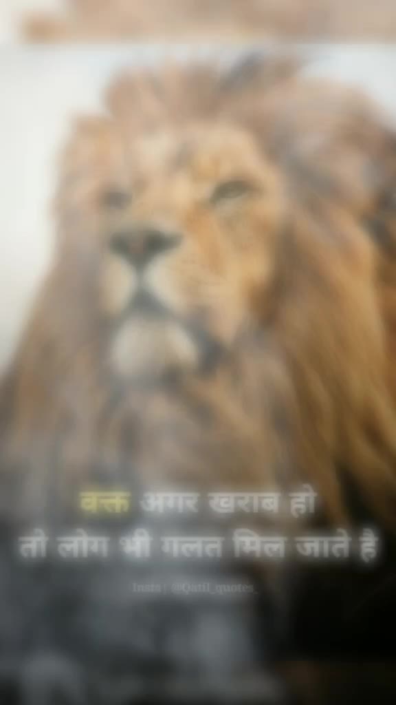 @Harshad Chavda 13