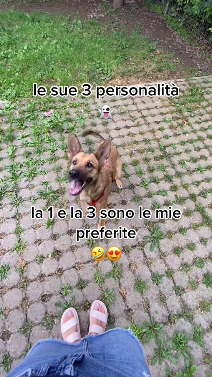 @Arianna Spada