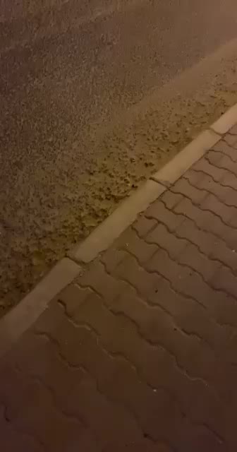 @خالد كويت 🇰🇼