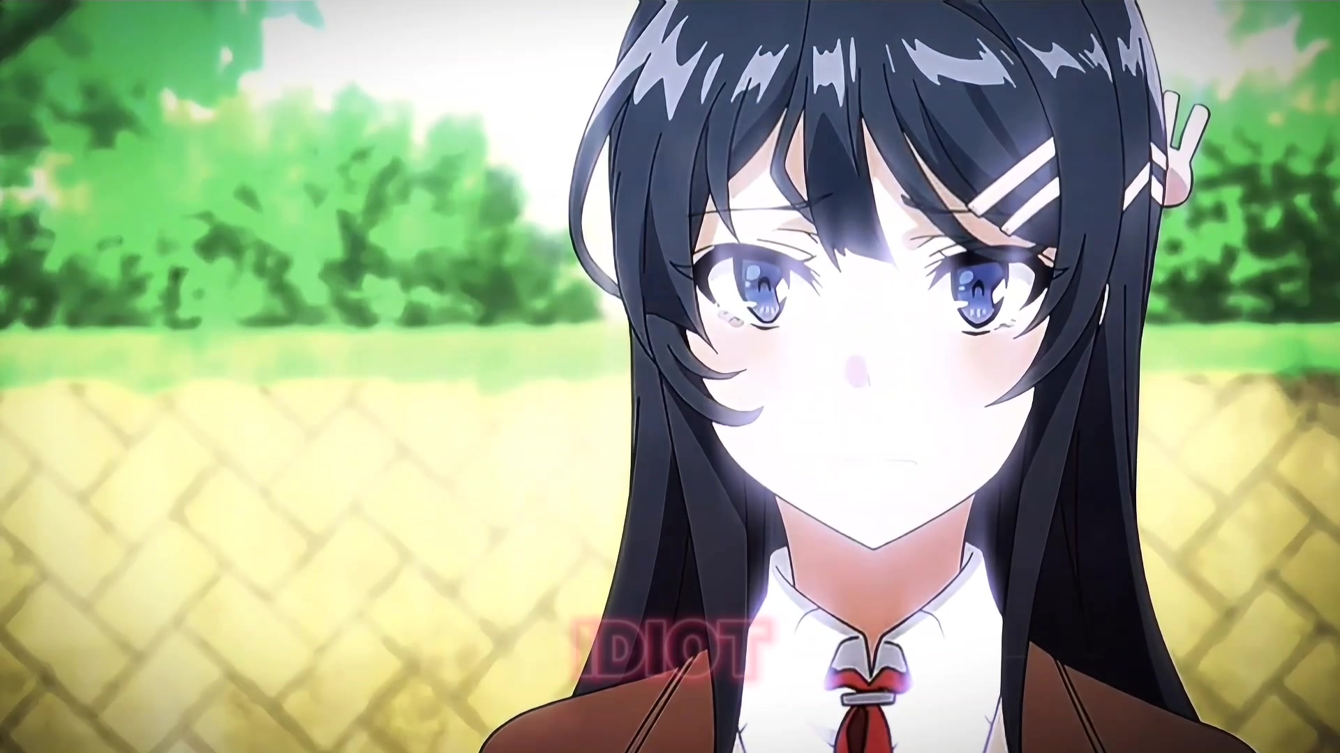 @Scarlity AMV's