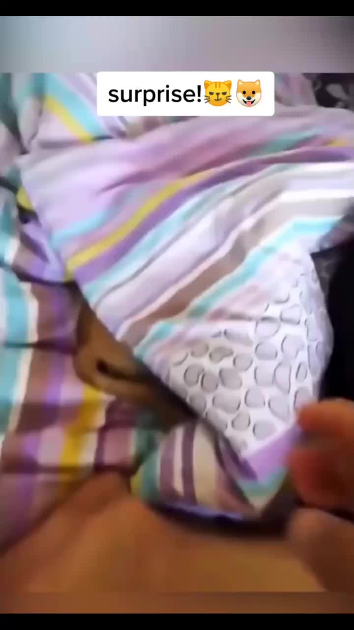 @user87357065893
