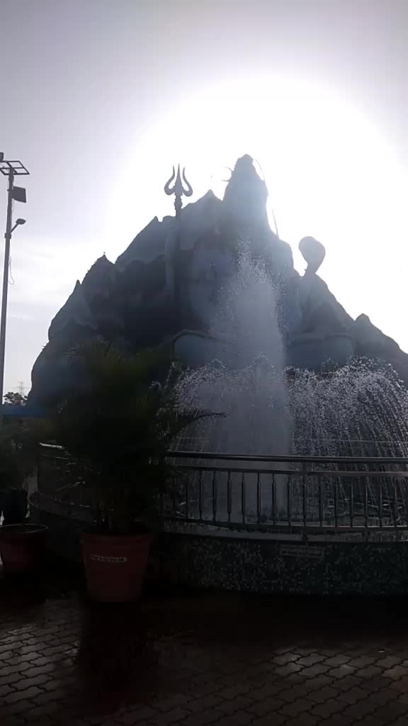 @purnima topiwala