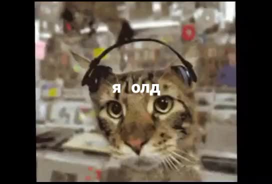 @карасёнок два два восемь
