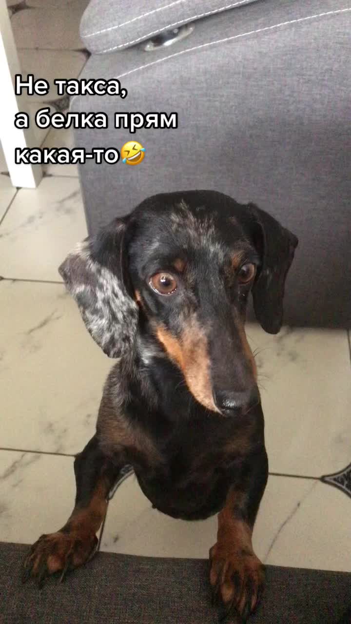 @МОНАВЛЮ