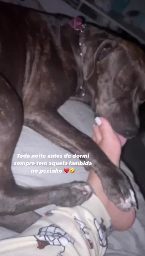@Dryca
