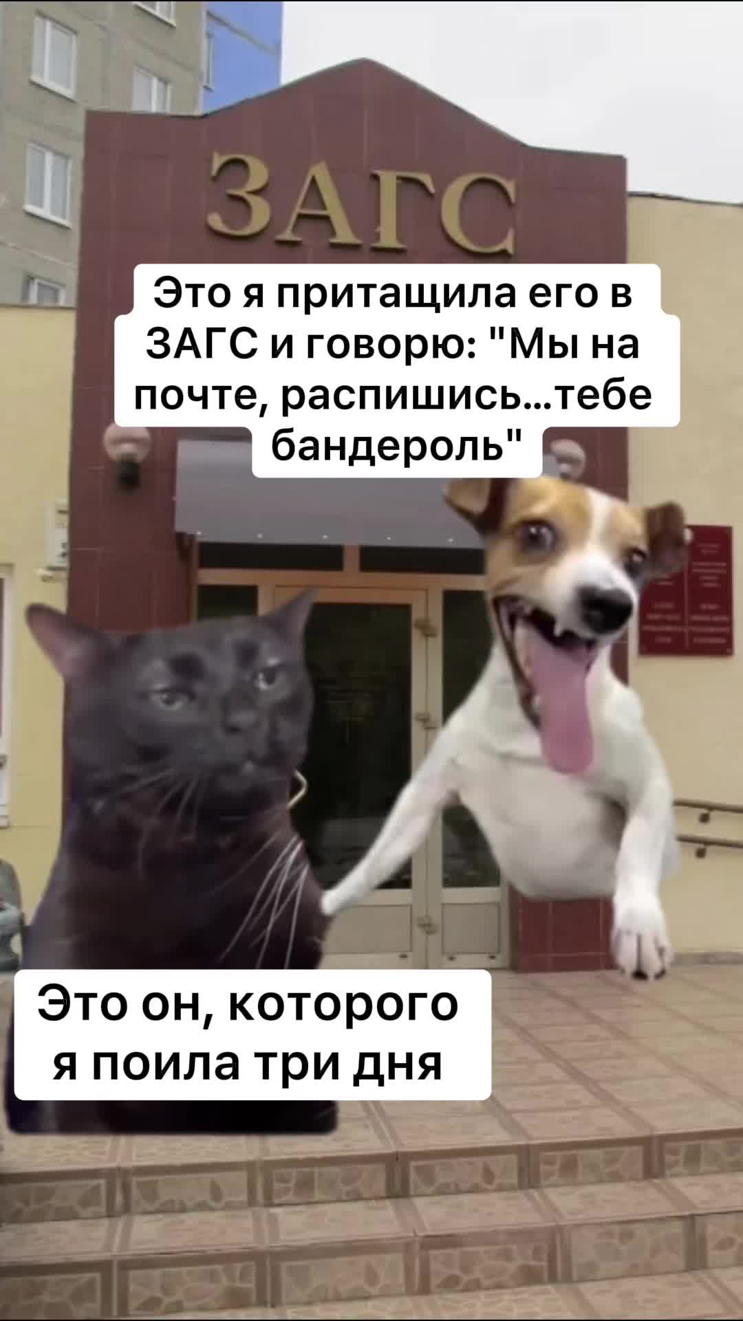 @⚜️Цыганчелла ⚜️