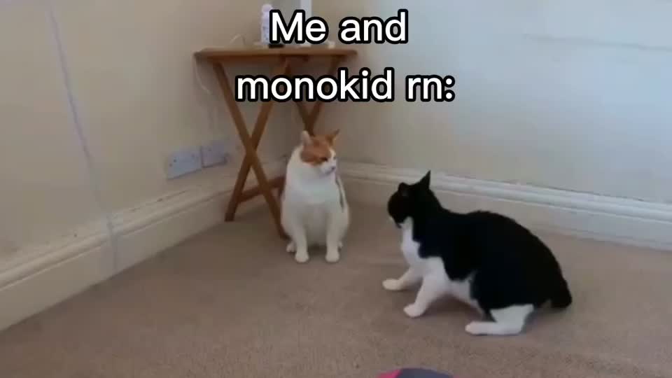 @M ๐ธ n ๐ธ p h a n i e