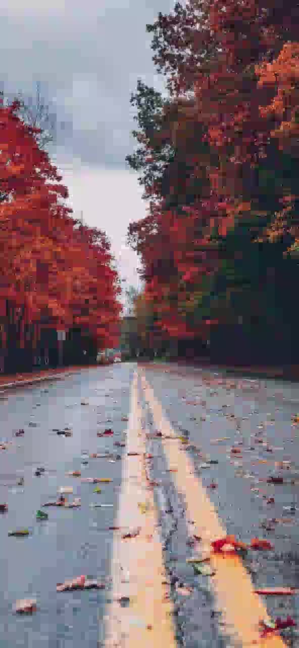 @user8482980460763