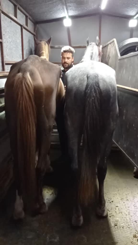 @Yusuf güler