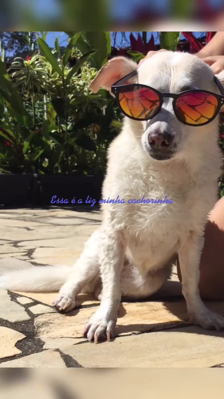 @❤️❤️SIGO DE VOLTA!!!