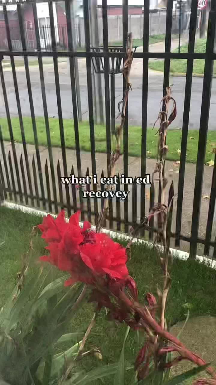 @୧ ♡ ୨