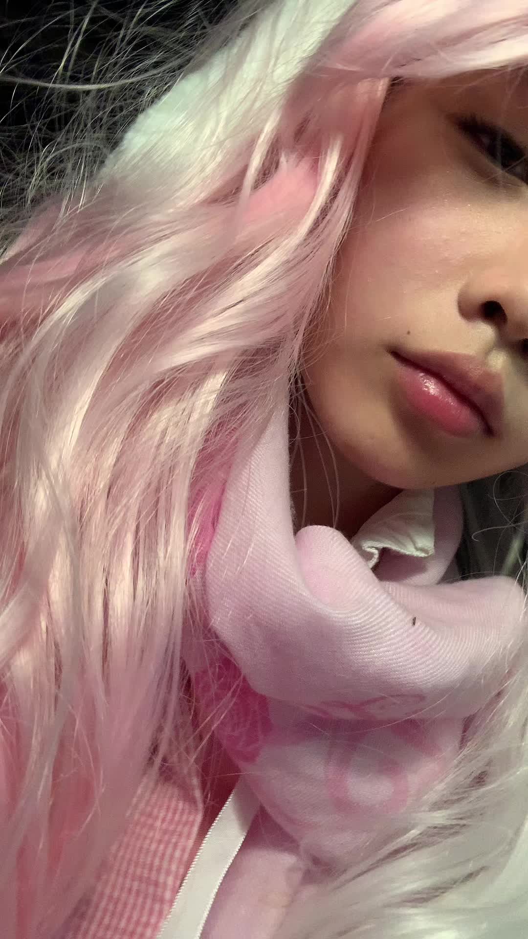 @cougheecat ‧₊˚✧