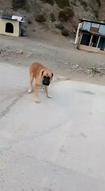 @FurkanKöse28