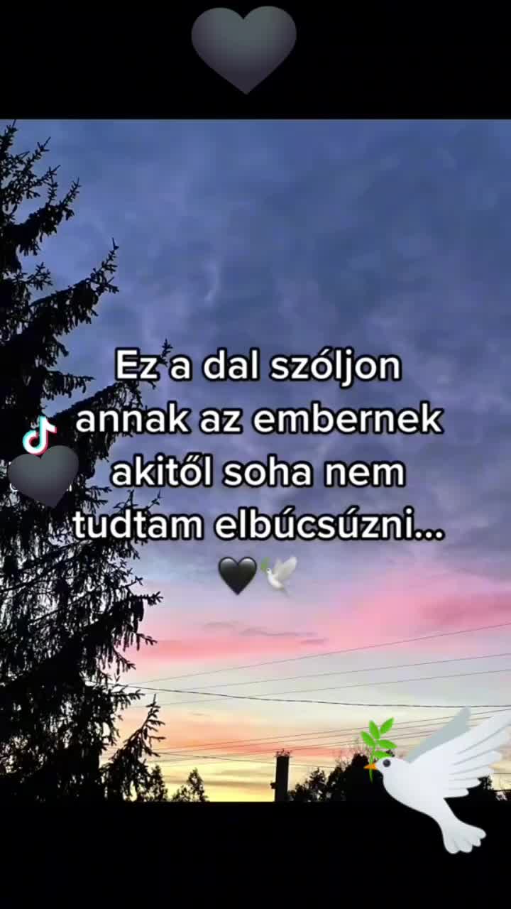 @✨Timi