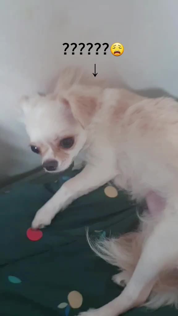 @마오