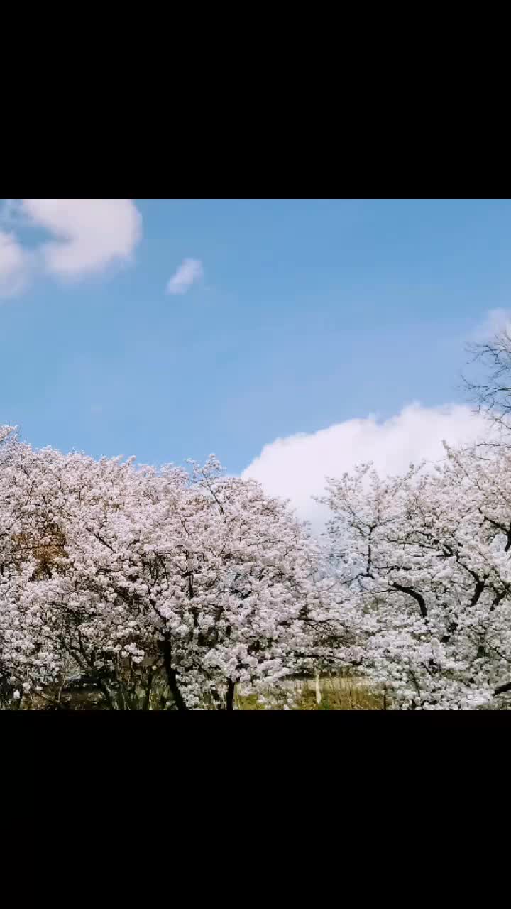 @๐Dana๐์์ค♥ํธ์์ด์ค