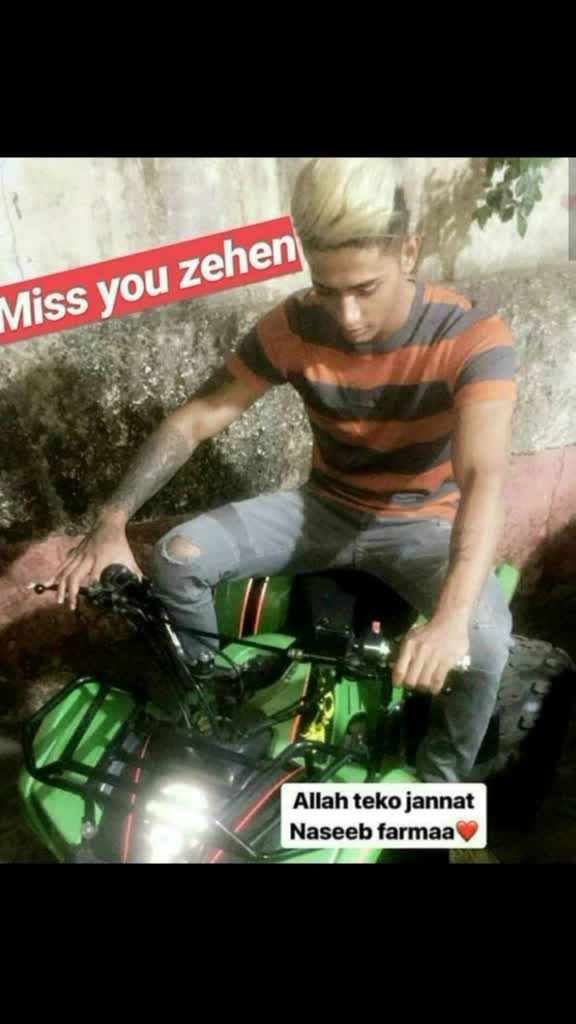 @DANlSH ZEHEN