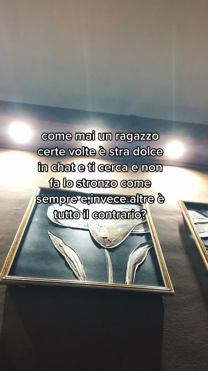 @user17282979228