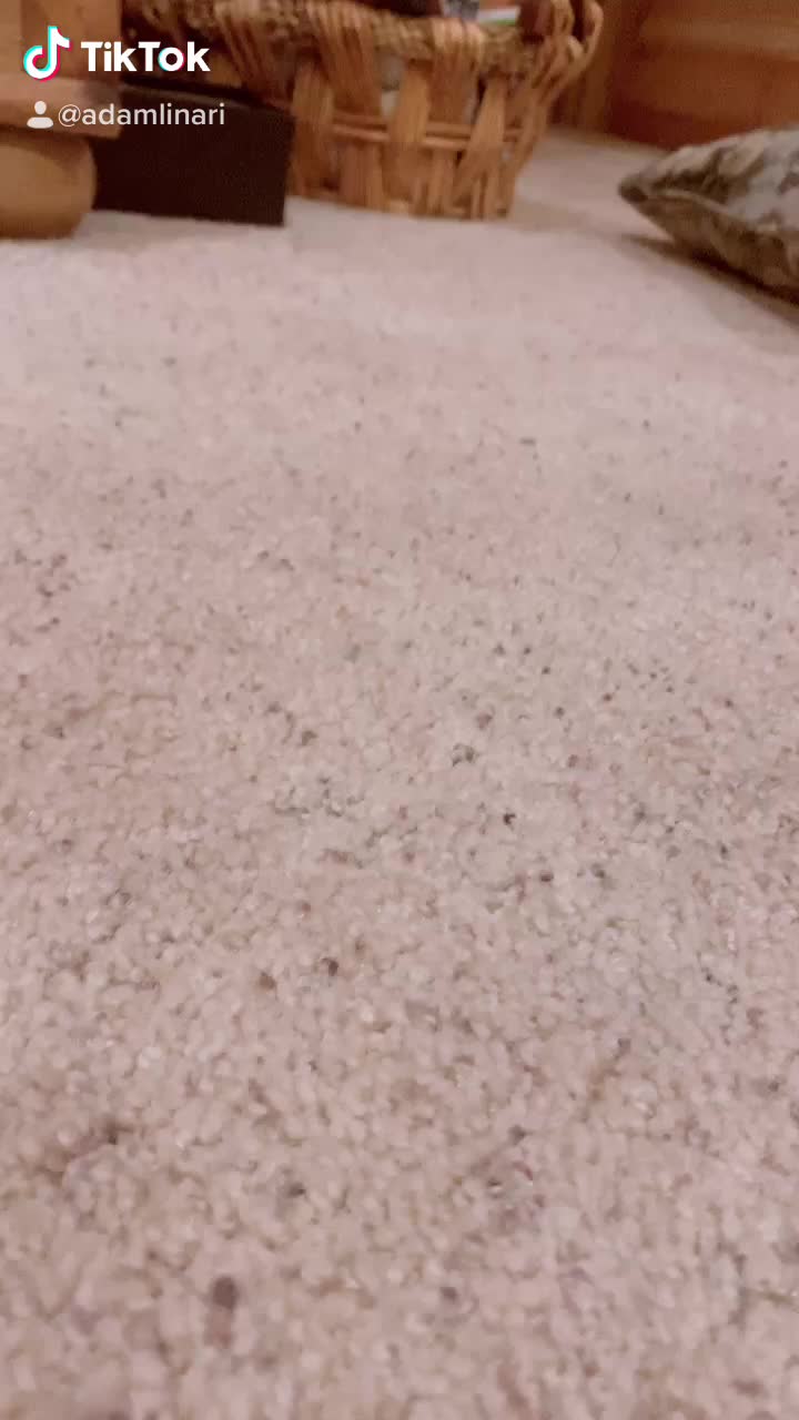 @Alinari8