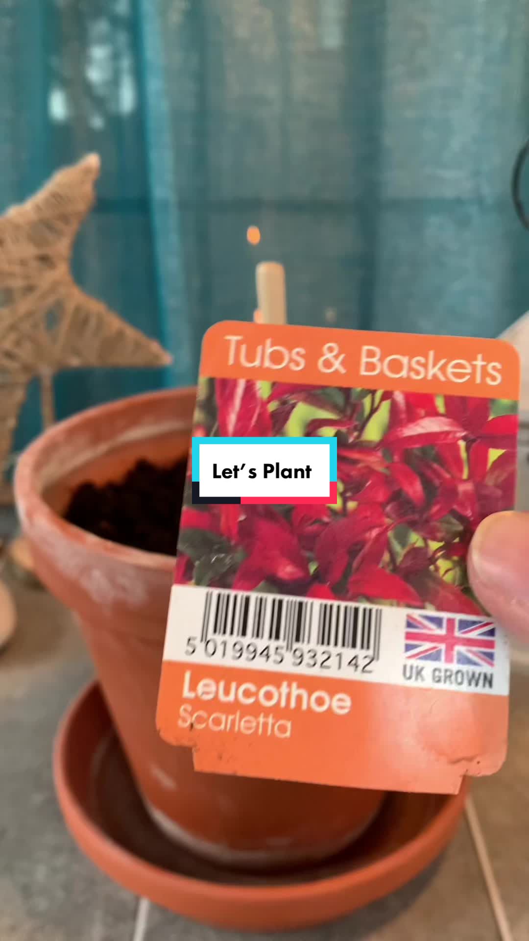 @Plant!U