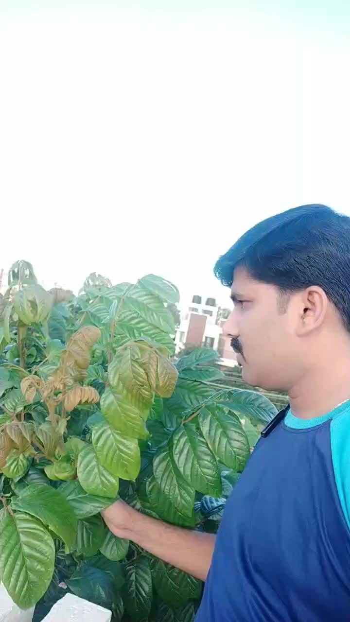 @Naveen_Hassan
