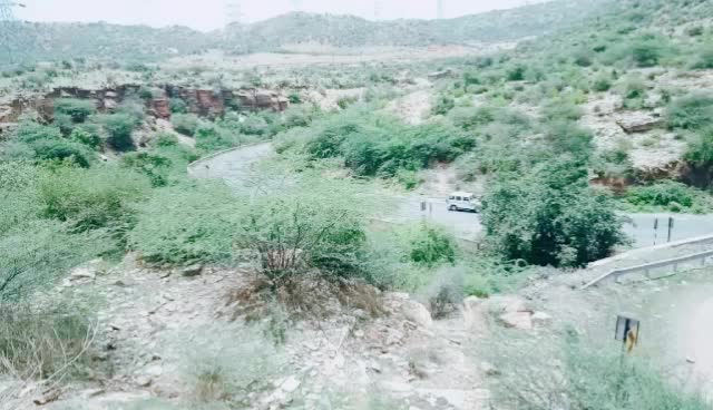 @Rajesh P