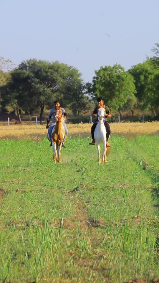 @Yuvibha Horse lover