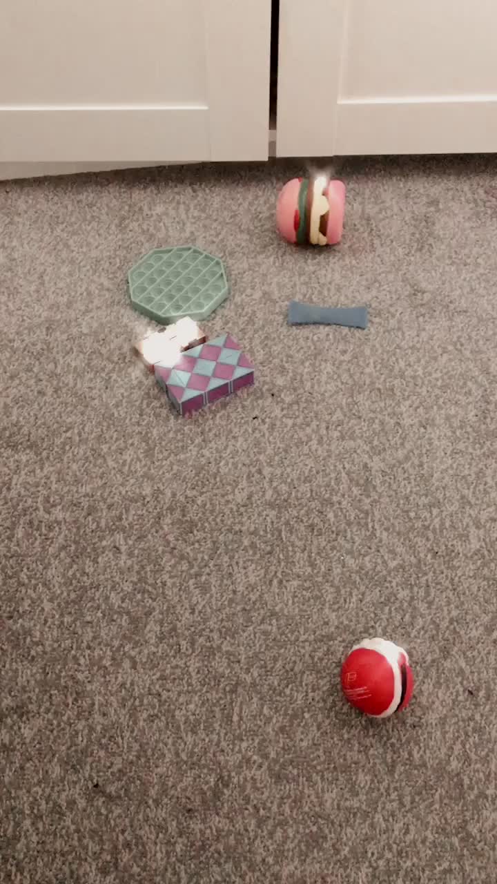 @Fidget Toys