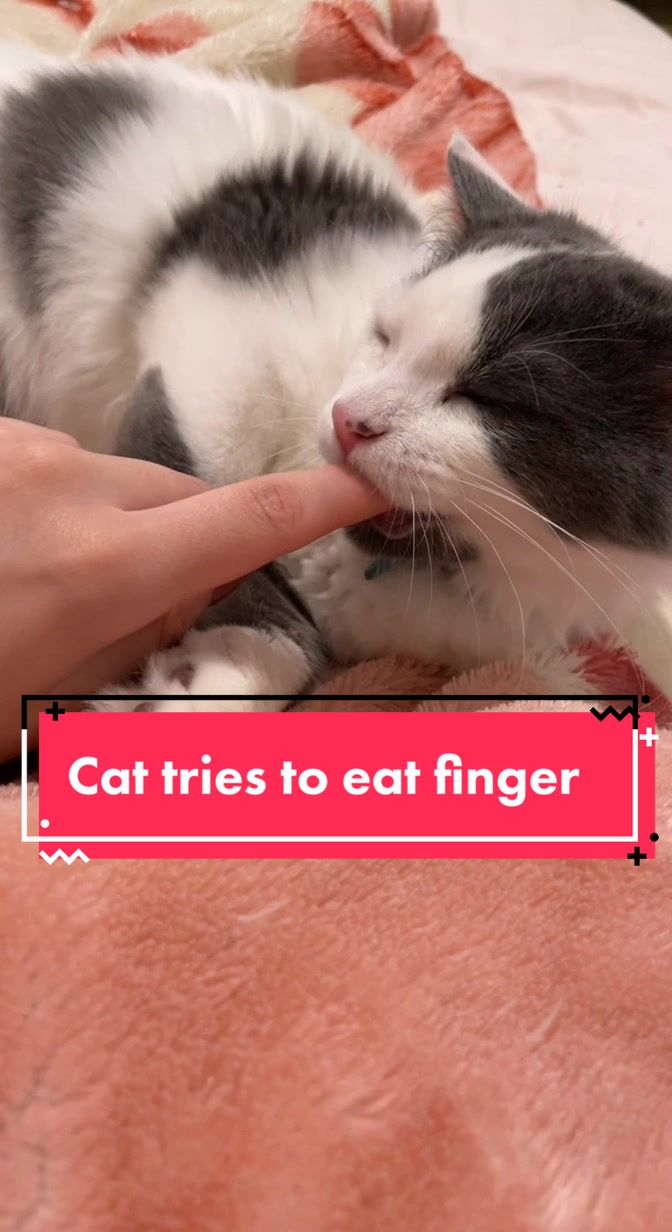 @FerociousRengar