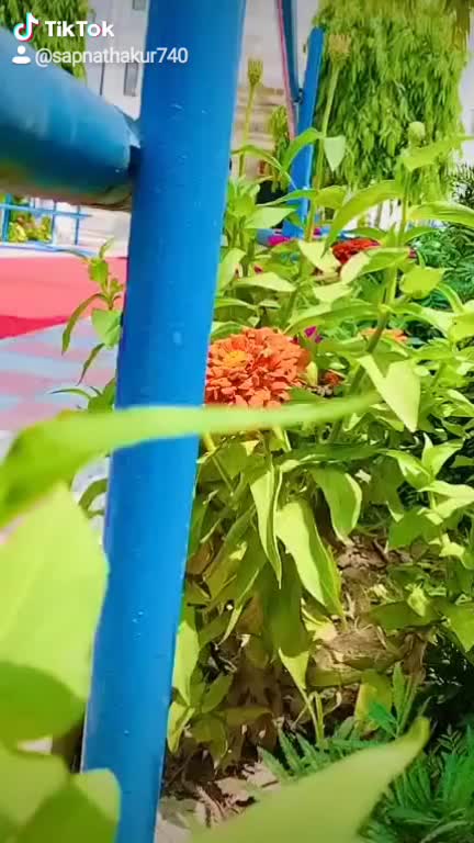 @Sapna Bhagat