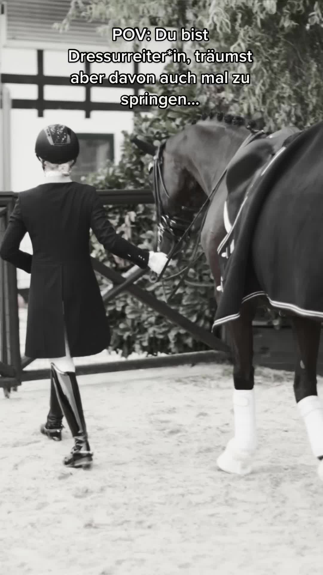 @Schwarze Equestrian