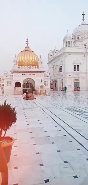 @Avjeet nijjar