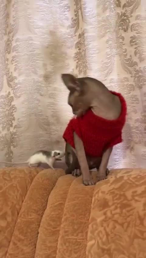 @Людмила😉