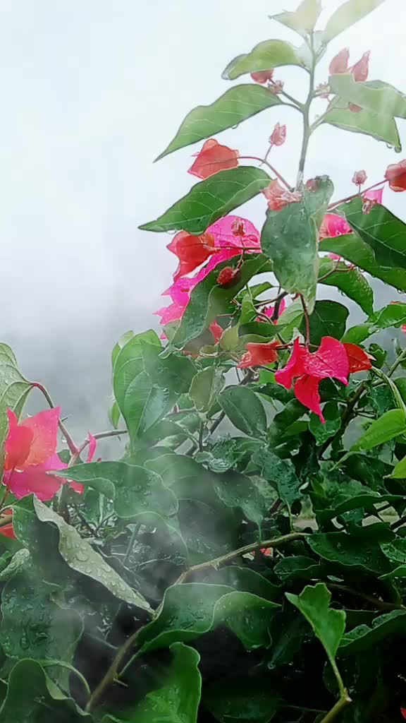 @Bhuvi Bohra