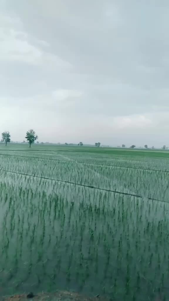 @MASRUWALA 07