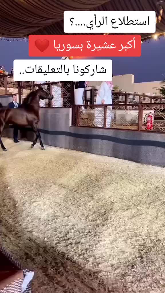 @ﷴ- 505-vpn