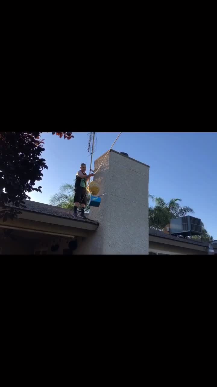 @issamemario