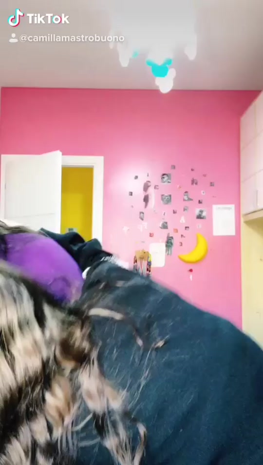 @fra_cami