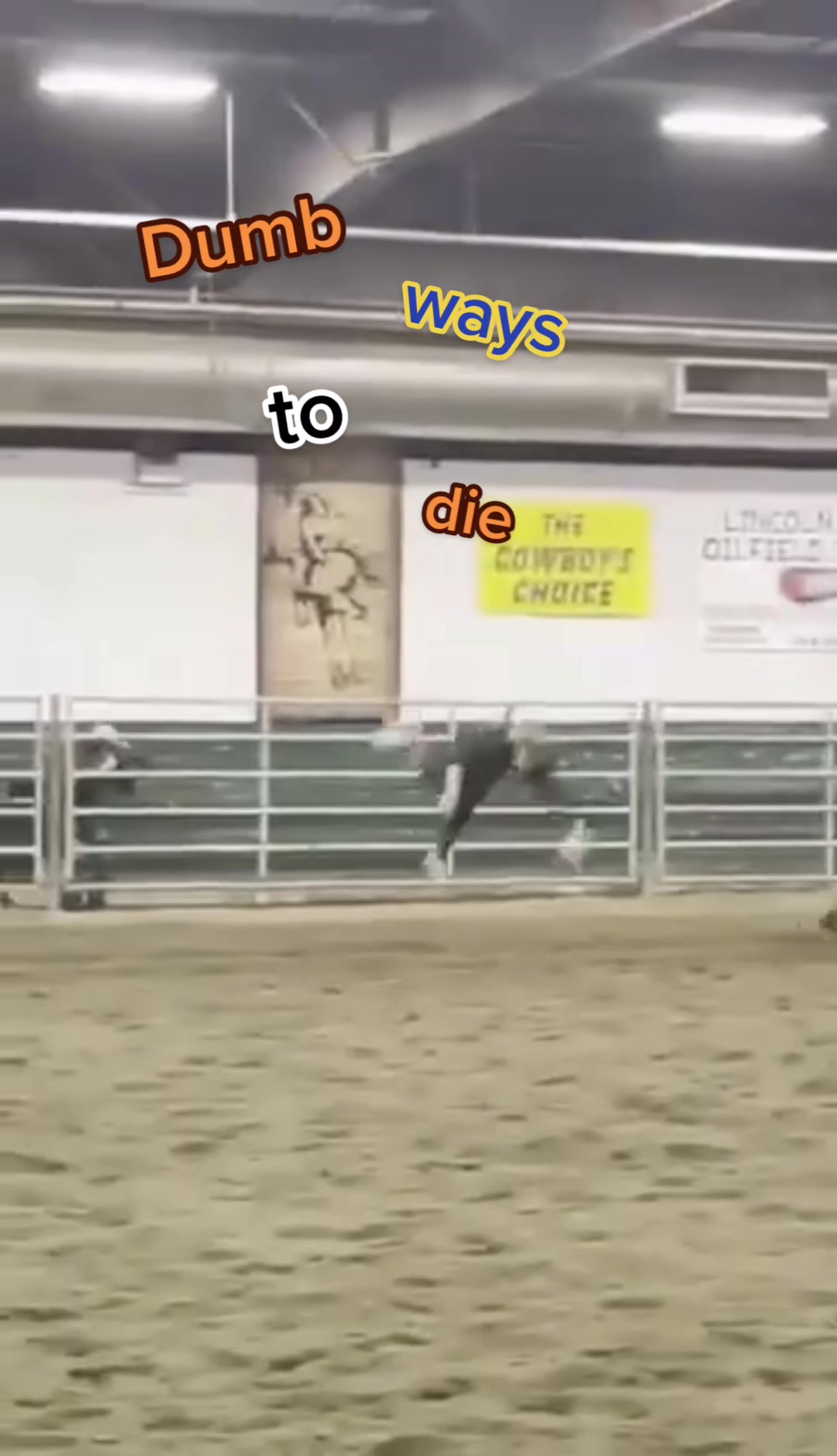 @Lazy P Rodeo