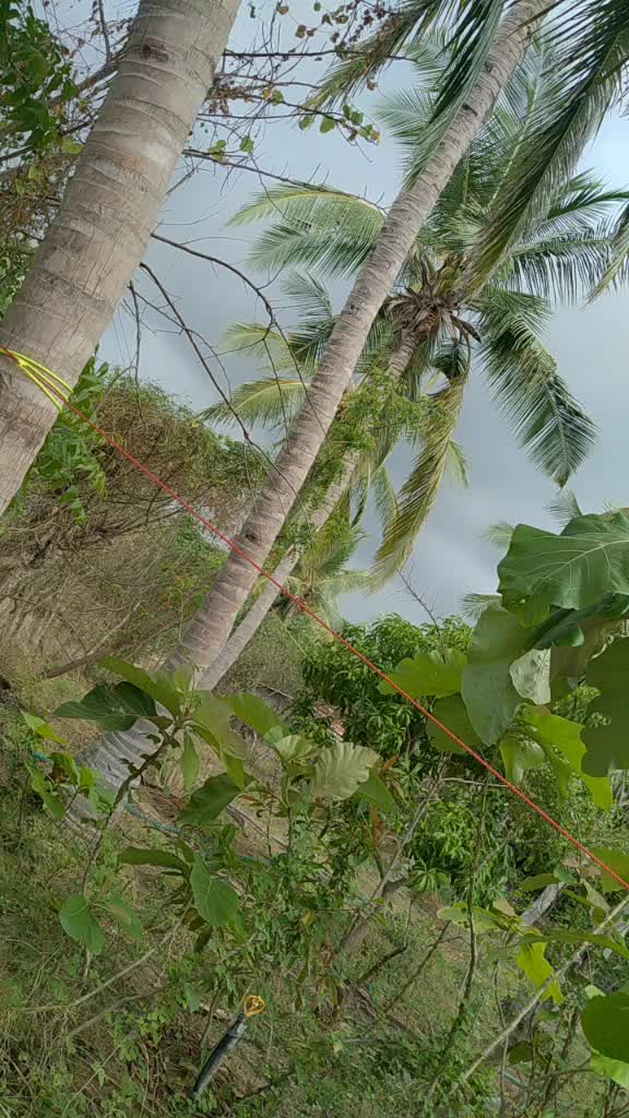 @@ indhu🔰🔰
