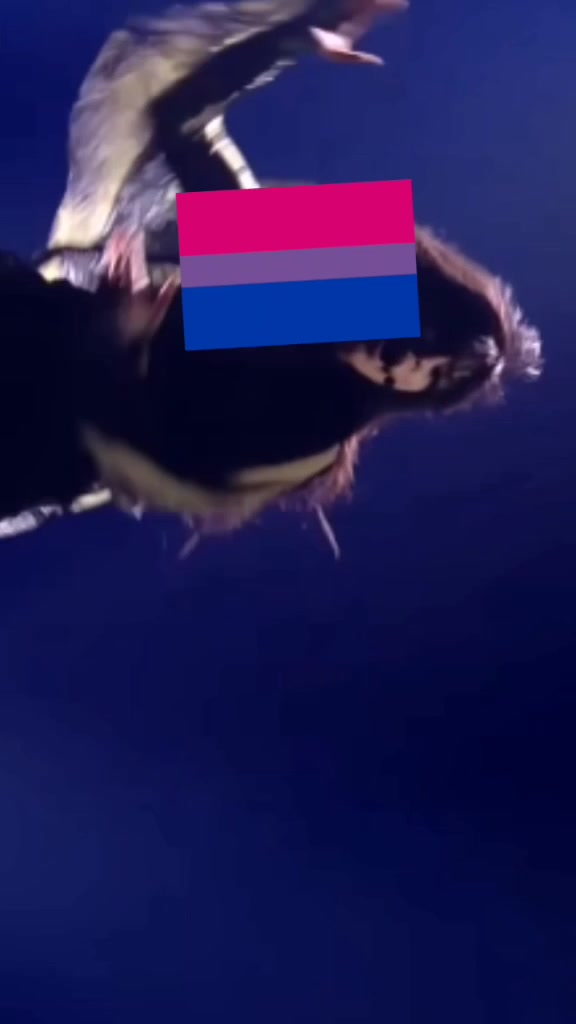 @Eurovision <3