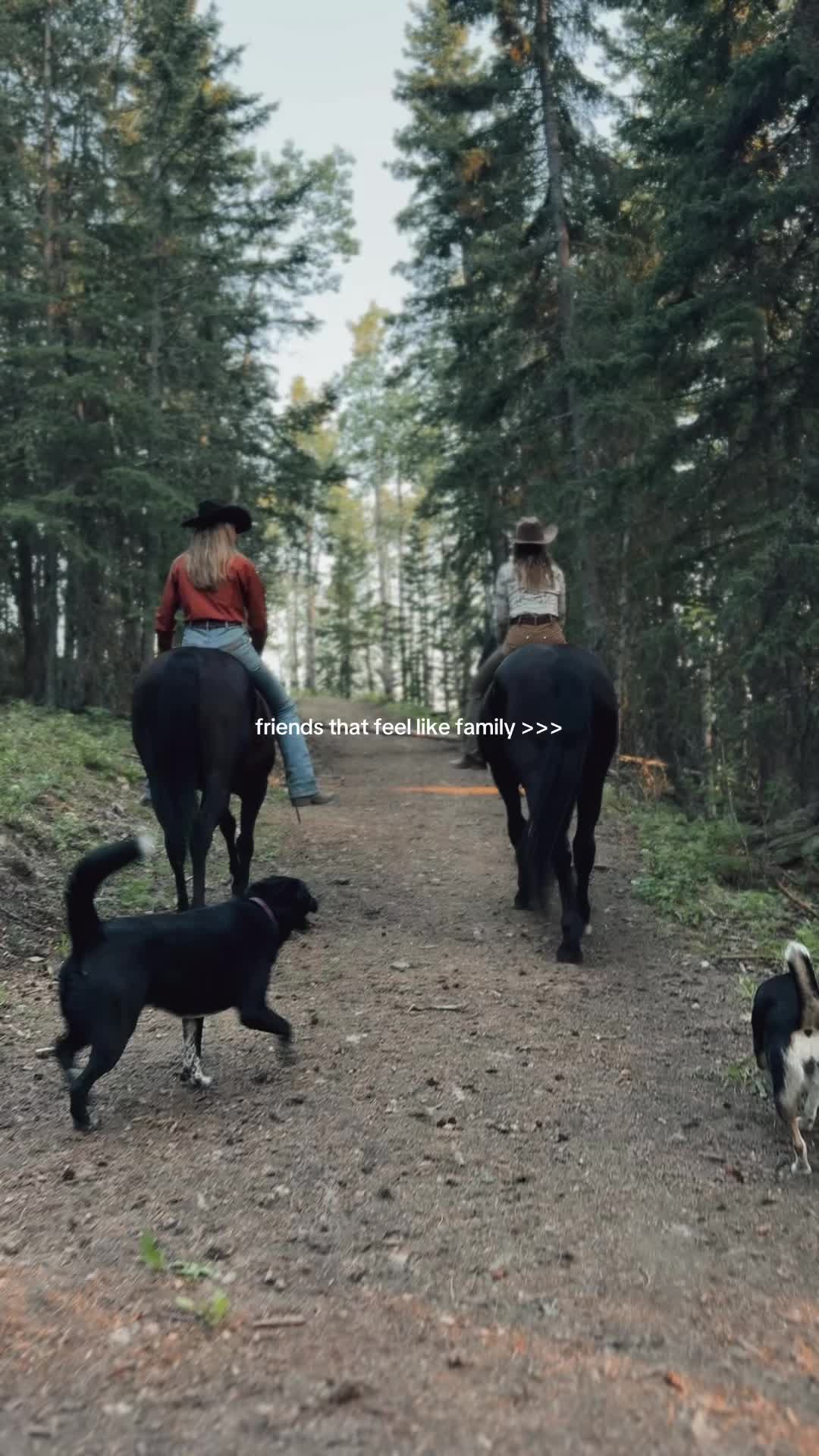 @Ranch Riders