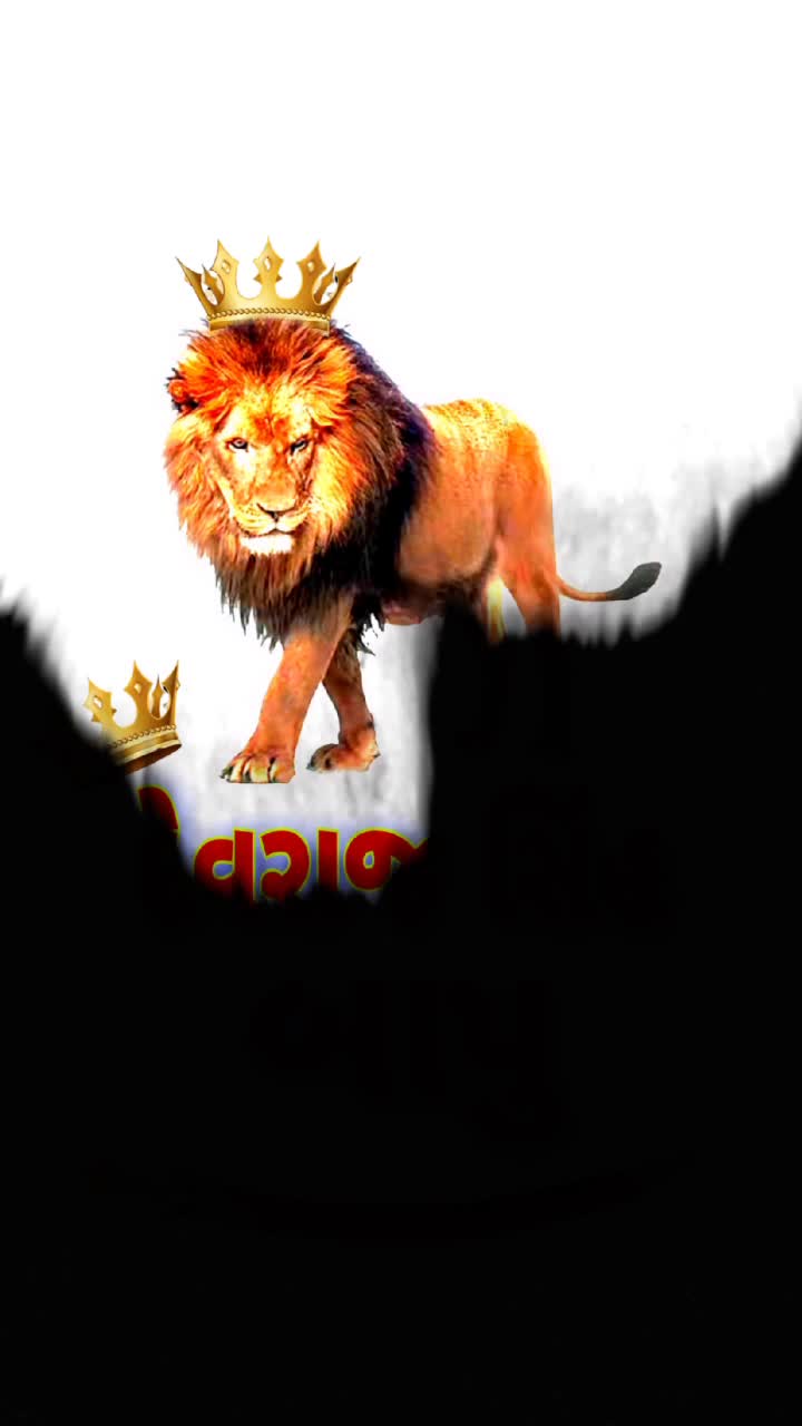 @Vaghela.Kalpesh