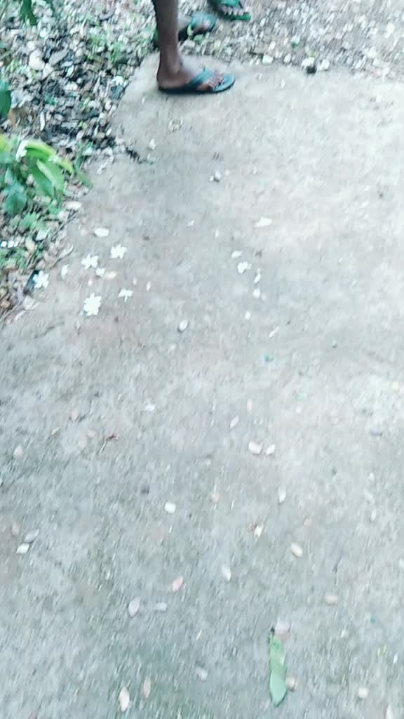 @veeresh np