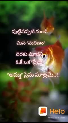 @Rohini simely